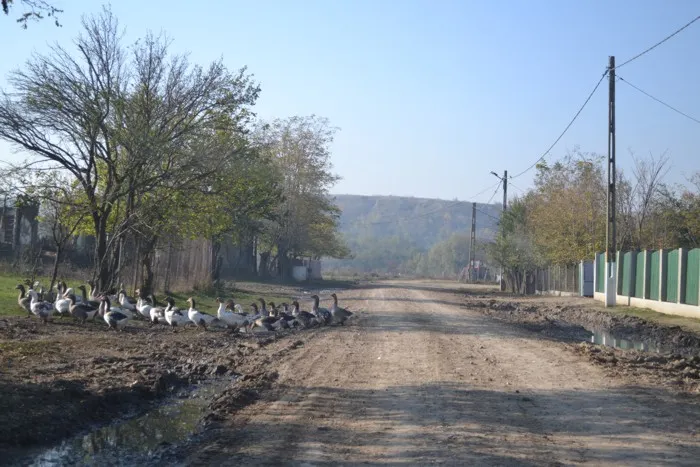 Zero lei atraşi de Consiliul Judeţean Ialomiţa prin PNDL 2