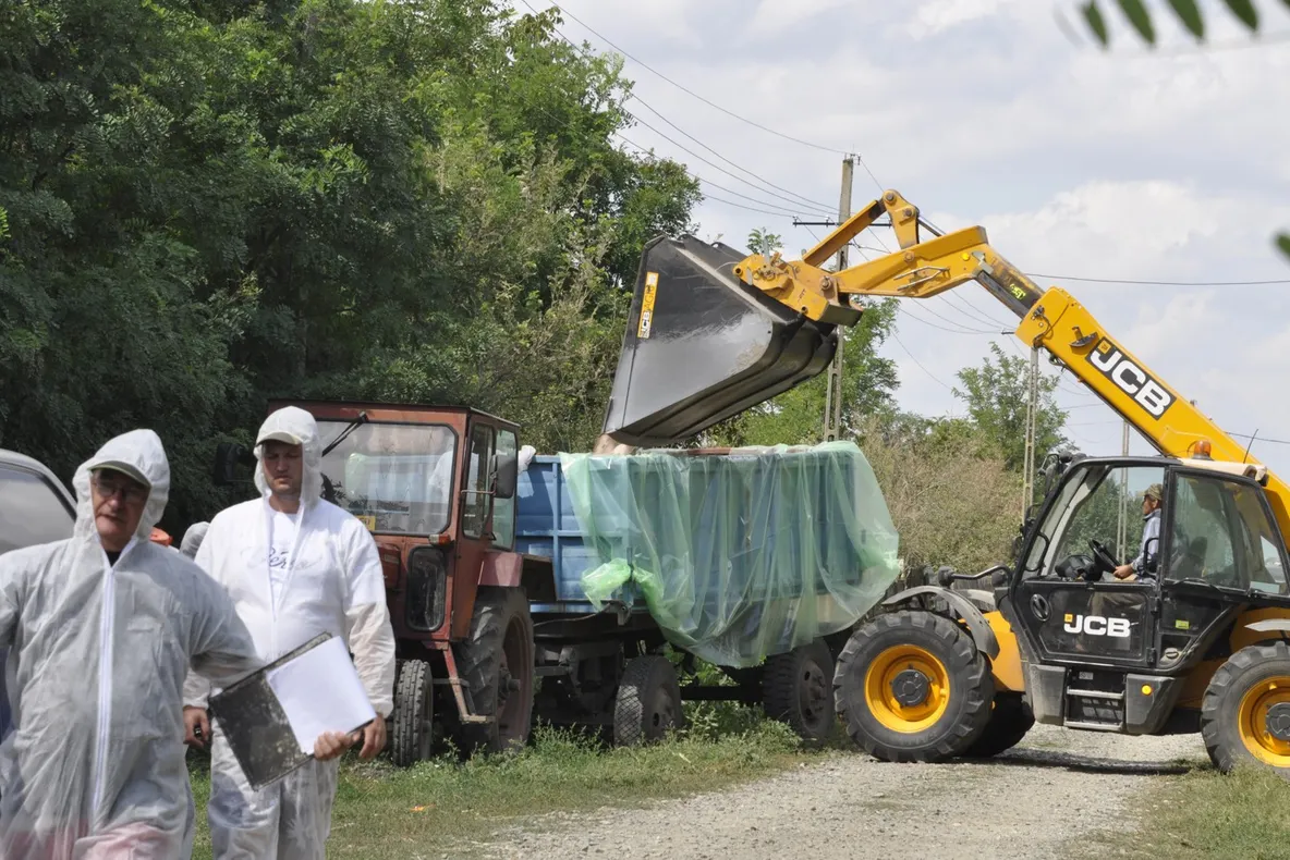 Finanțări europene pentru depistarea mai rapidă a prezenței virusului pestei porcine africane