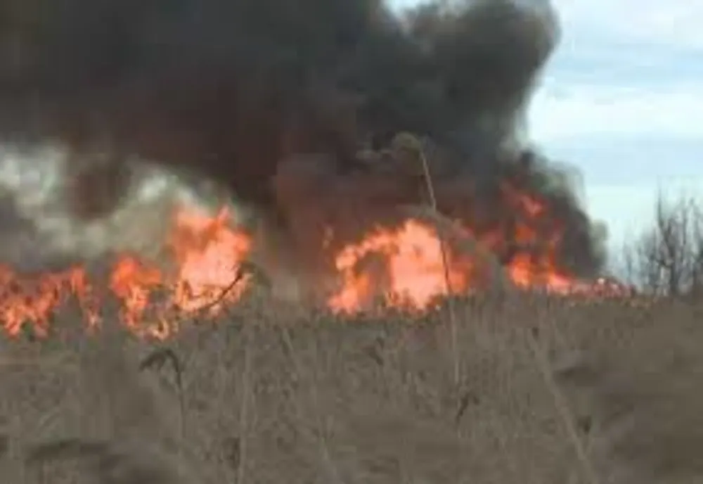 Incendiu de proporții la Vadu Oii. Pompieri din Constanța și Ialomița, în luptă cu flăcările