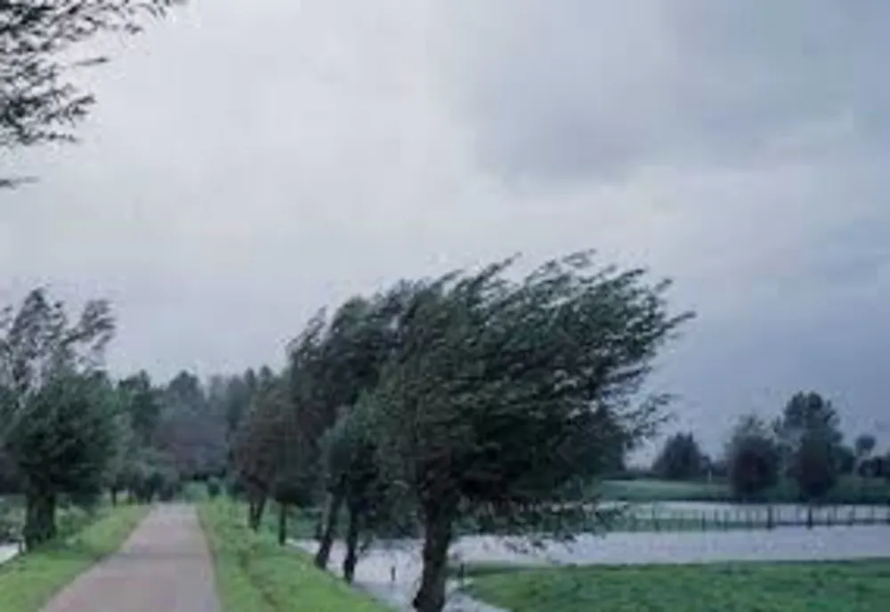 ALERTĂ meteo de ultimă oră: România, lovită de vijelii