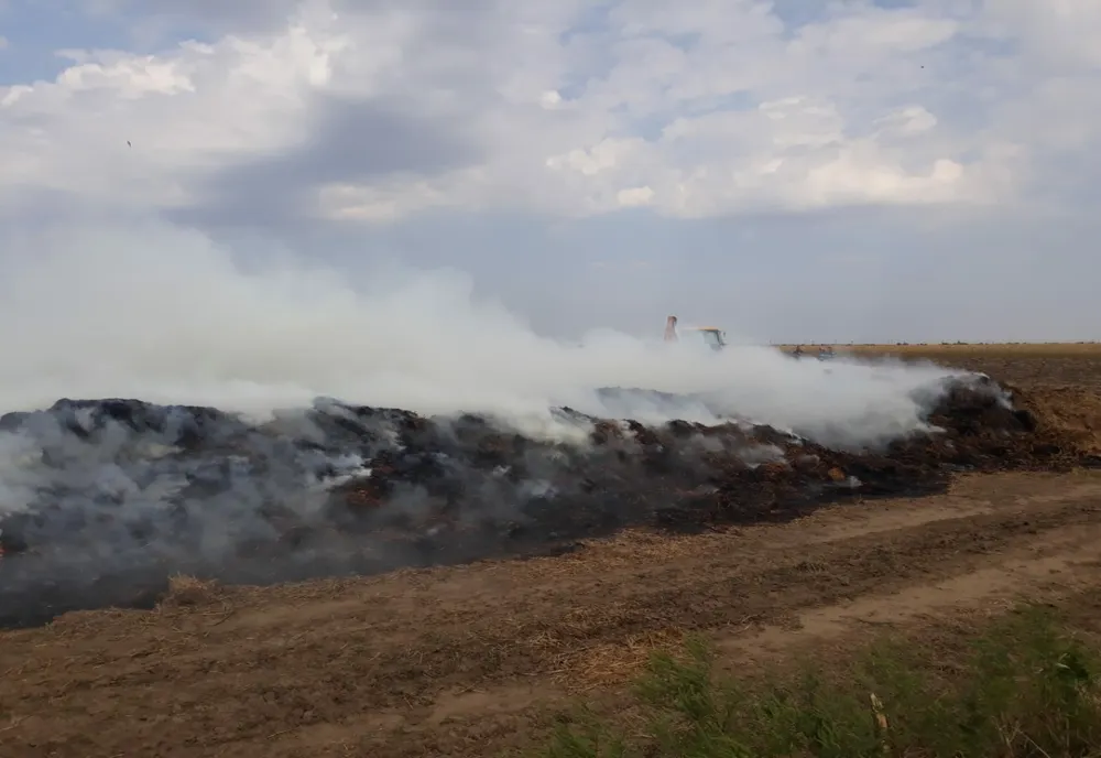 FOTO| Incendiu puternic de  vegetație uscată și gunoi de grajd la Manasia