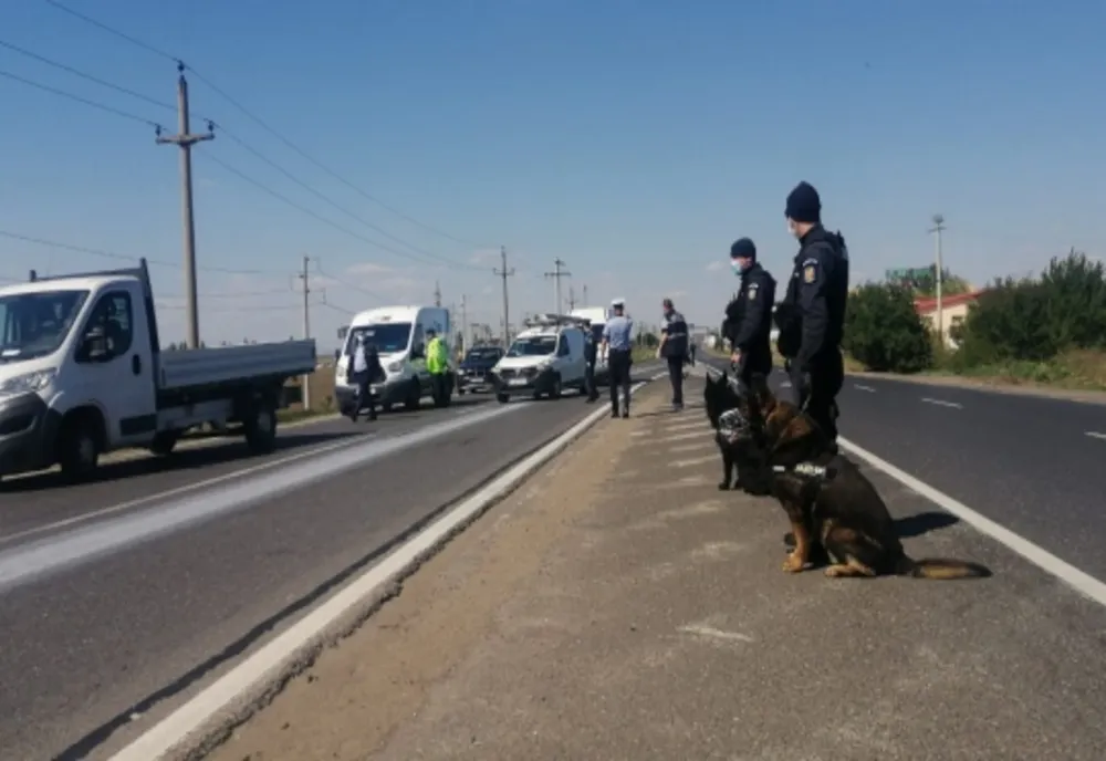 Polițiștii pe urmele hoților de animale în  Grivița și Traian