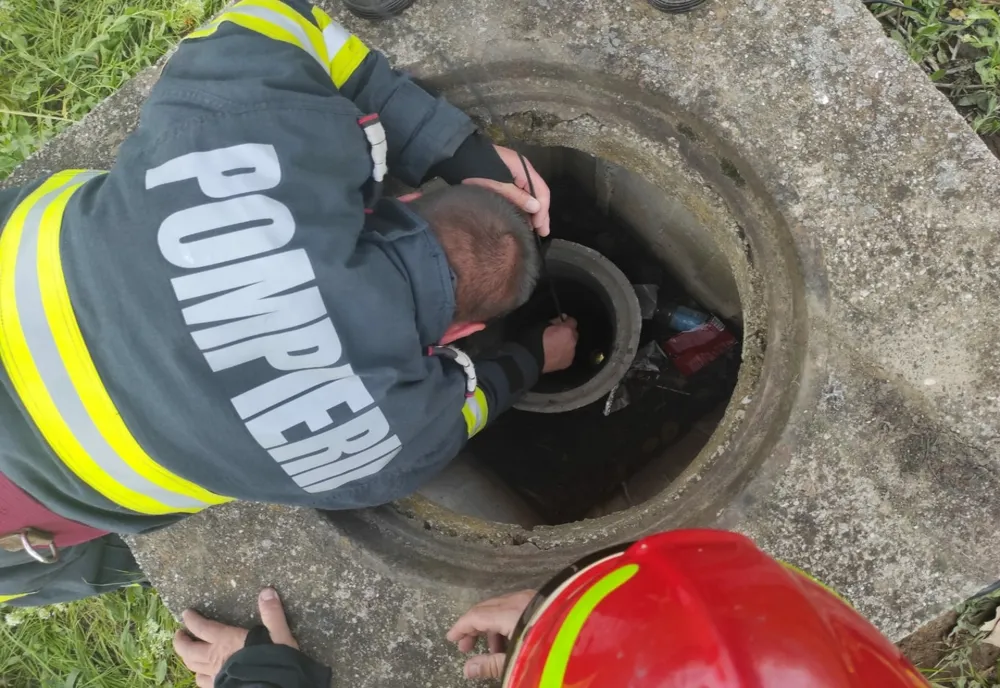 FOTO Ied salvat după ce a căzut într-o fântână. Pompierii l-au resuscitat