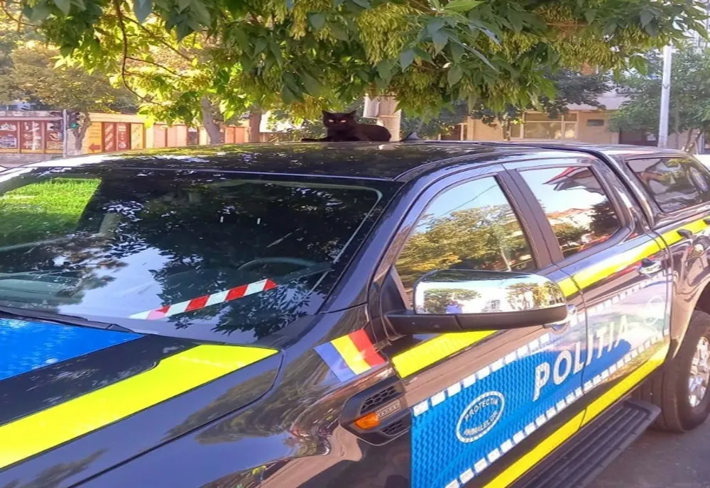 Zi cu ghinion pentru un tânăr din Slobozia De ce s-a ales cu dosar penal