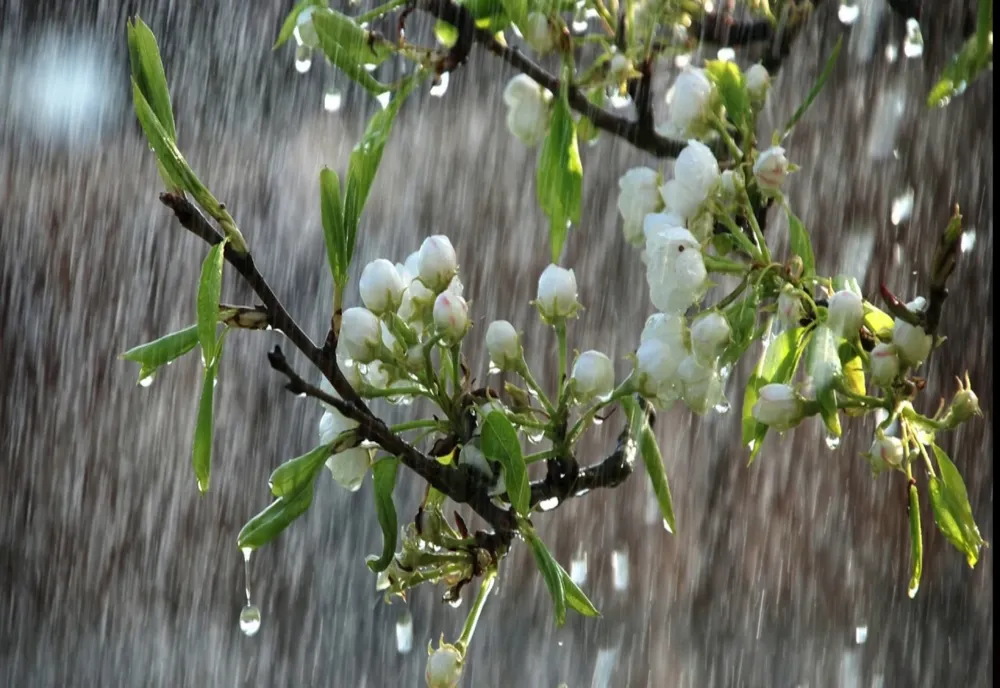 Vremea 3 aprilie - Temperaturi scăzute - Când o să se mai încălzească