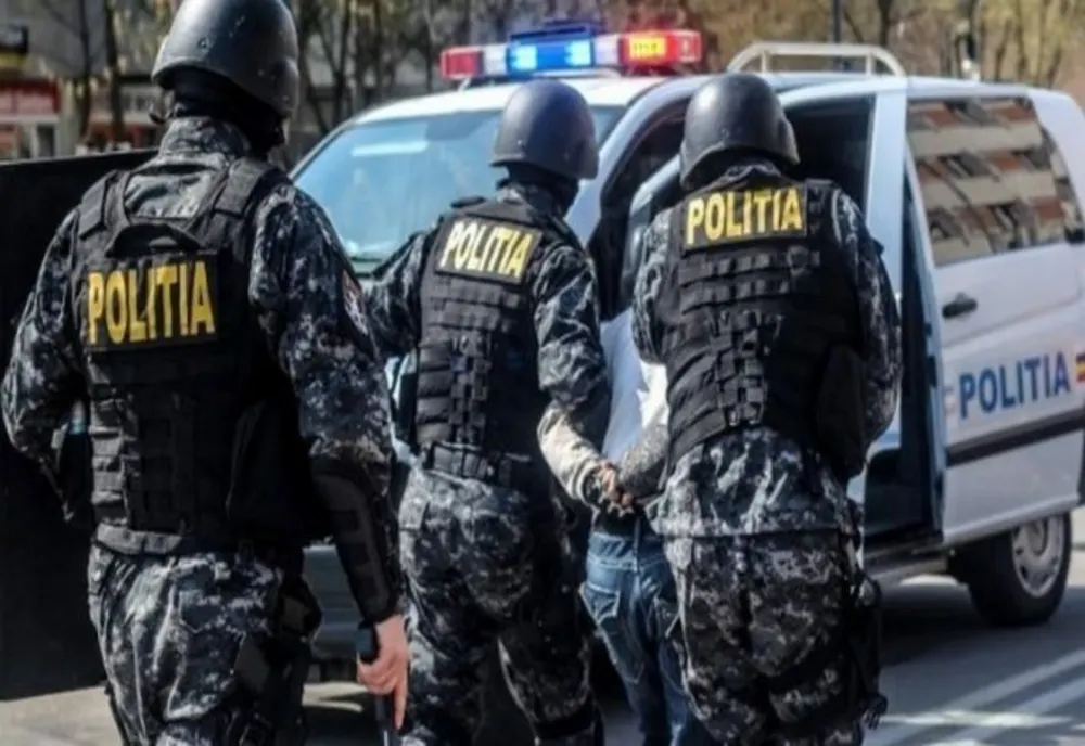 Percheziții la hoții de oi din Ialomița și Tulcea. Patru persoane reținute
