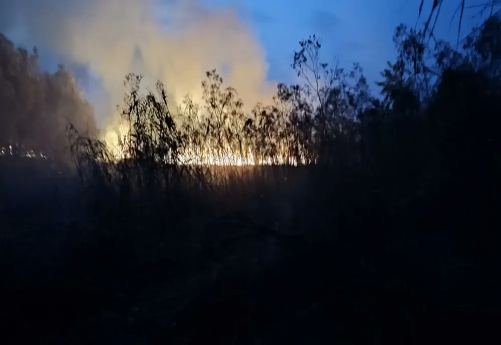 Intervenții ale pompierilor ialomițeni la 12 incendii de vegetație uscată, în weekend