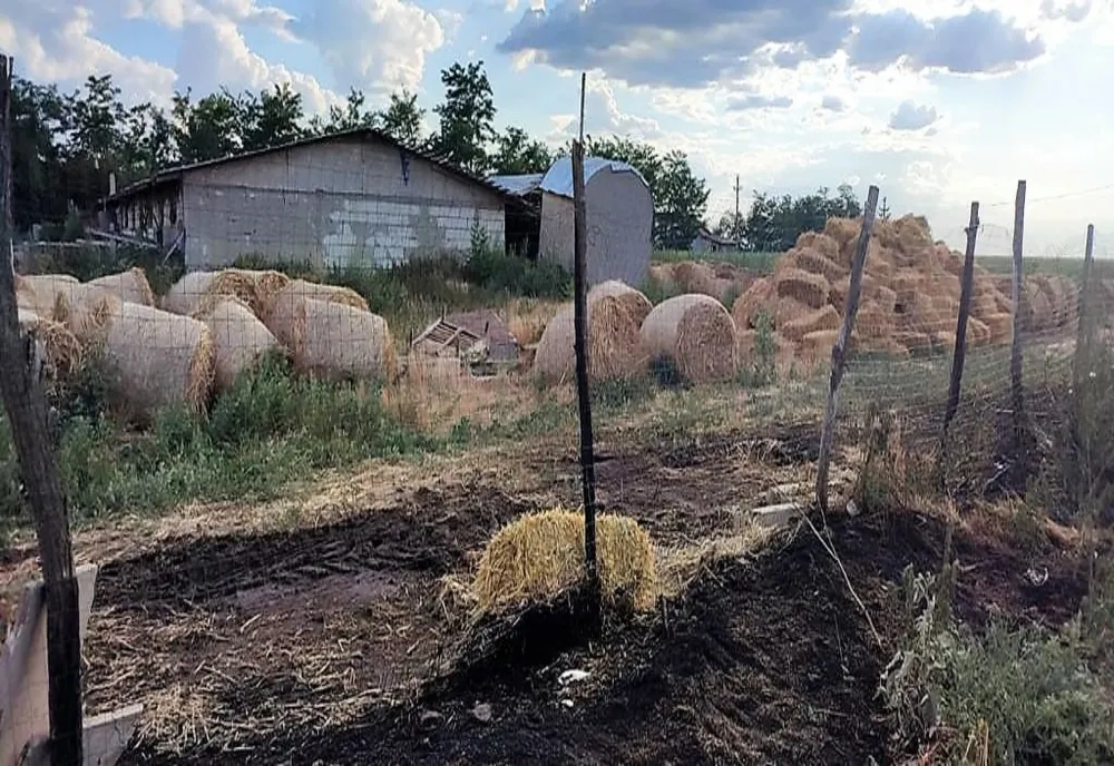 1500 de kilograme de furaje făcute scrum în Munteni Buzău