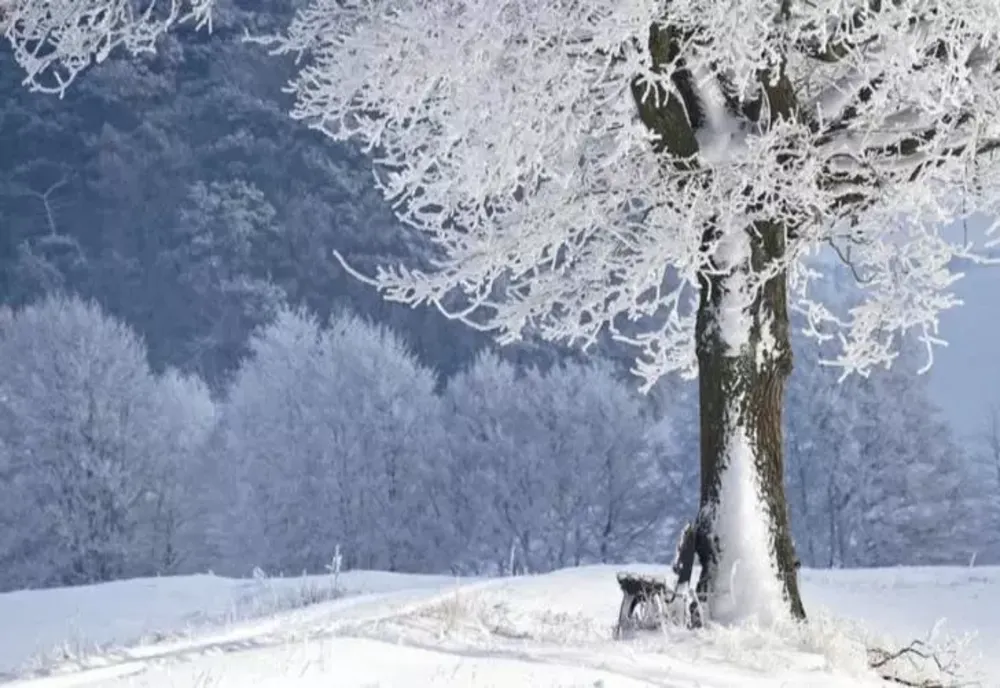 Vom avea sau nu zăpadă de Crăciun? Ce spune meteorologul ANM