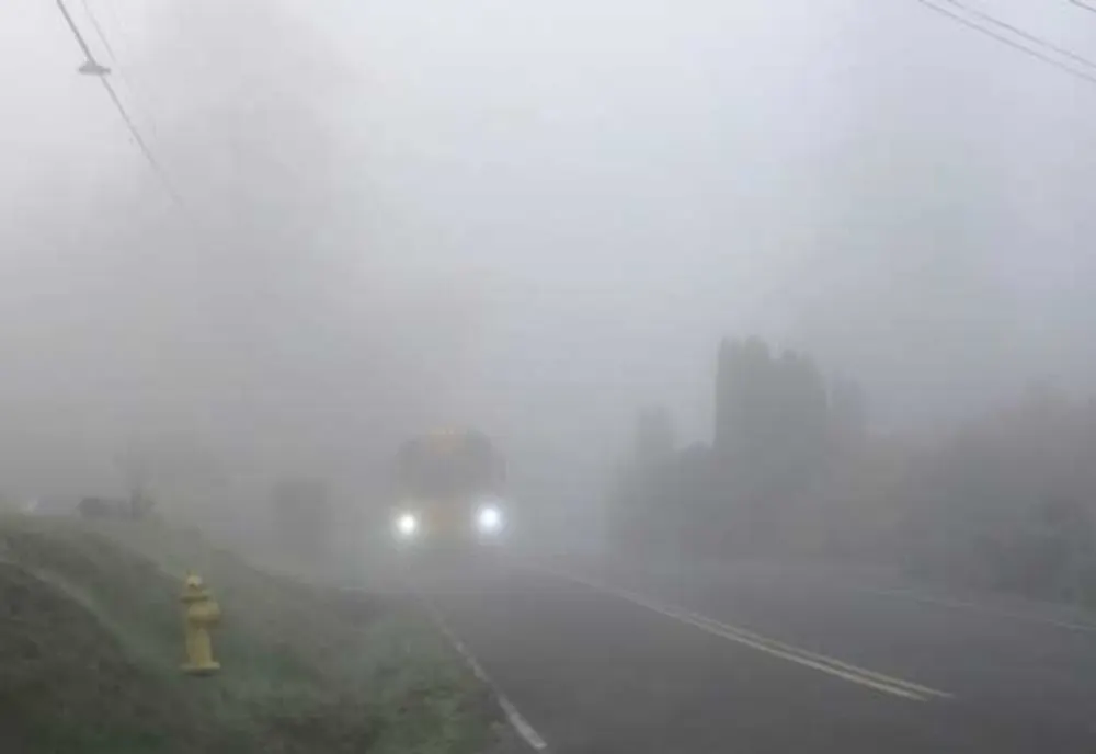 Cod Gaben de CEAȚĂ în Ialomița