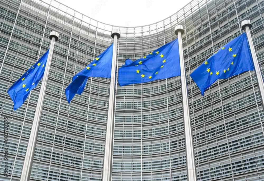 BEC a anunțat REZULTATELE FINALE ale alegerilor europarlamentare