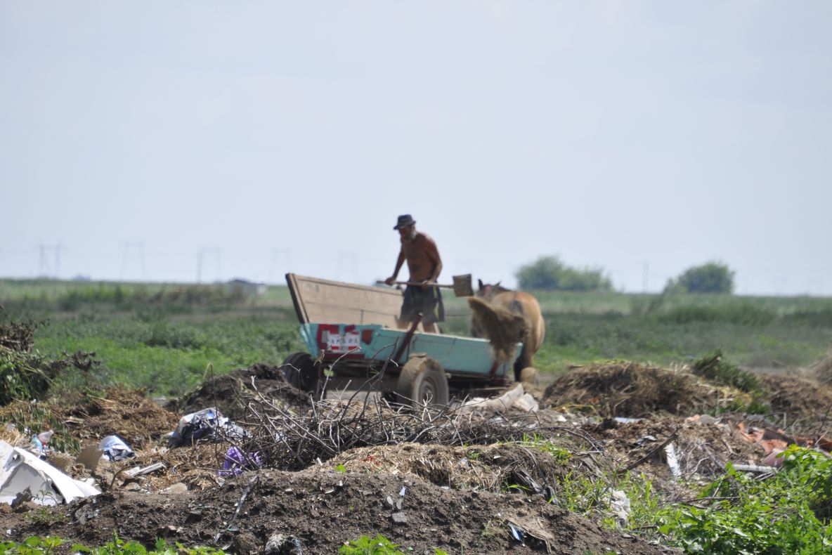 Consiliul Judeţean Ialomiţa vrea staţie de sortare a deşeurilor
