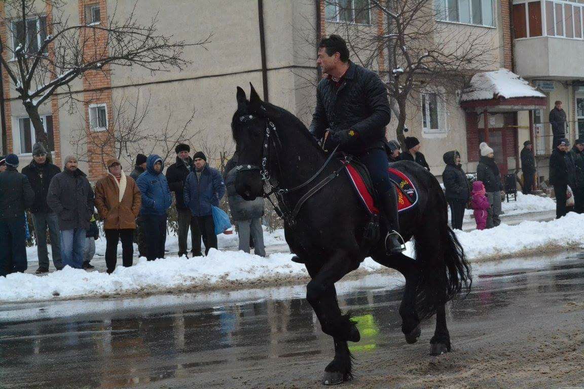 Primăria Amara întreține iapa președintelui CJI