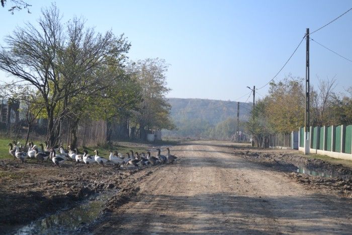 Consiliul Județean Ialomița vântură pleavă financiară pentru drumuri comunale