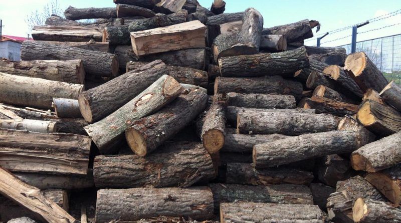 Lemne de foc scoase la vânzare de Direcția Silvică