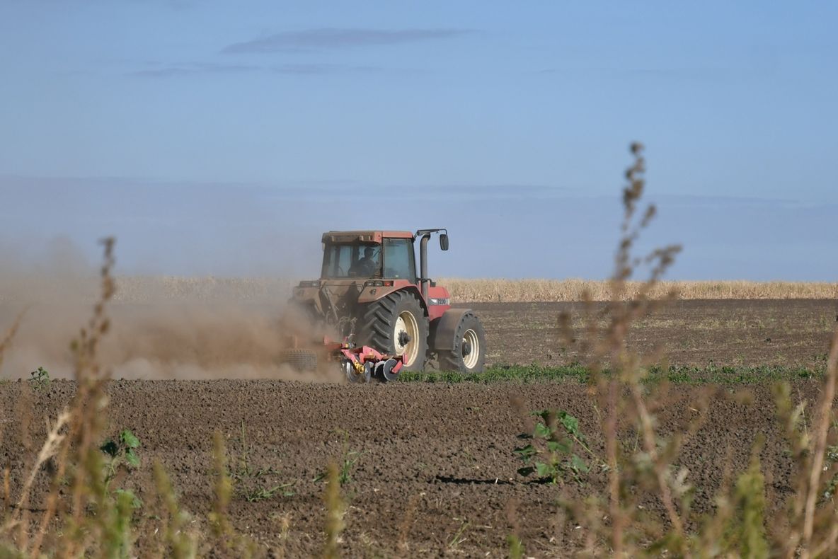 Ialomița are patru din primele zece locuri la subvenții agricole plătite de APIA