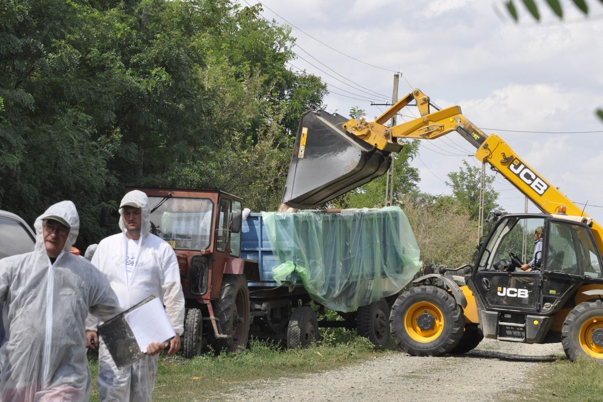 Finanțări europene pentru depistarea mai rapidă a prezenței virusului pestei porcine africane