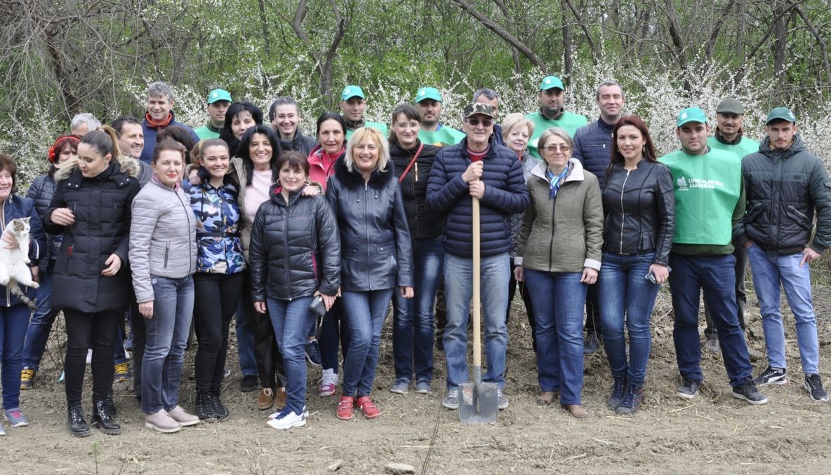 Prima zi a Instituţiei Prefectului i-a scos pe angajaţi la plantat tei argintii