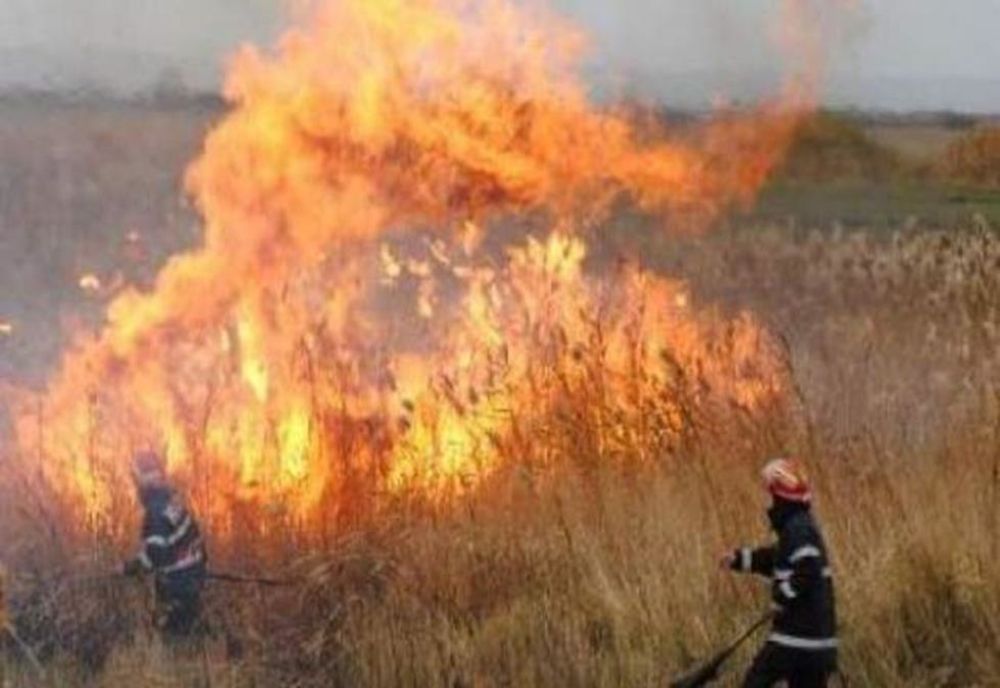 Incendiu de vegetaţie uscată pe raza localităţii Fierbinţi Târg