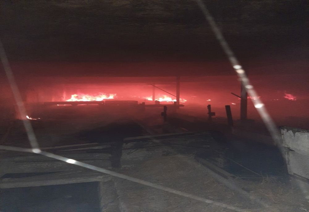 FOTO|  Incendiu puternic la Ograda