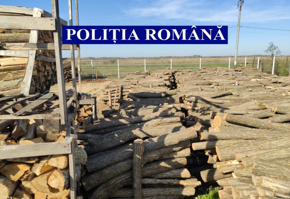 Delicte cu lemne de foc în Ialomița. Amendă usturătoare