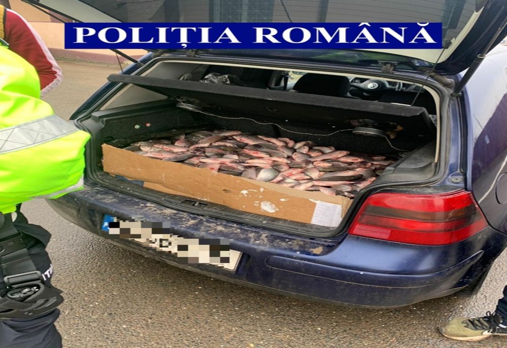 S-a ales cu dosar penal pentru transport fără documente legale a peştelui