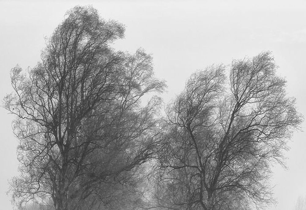 ANM: Cod galben privind intensificări ale vântului