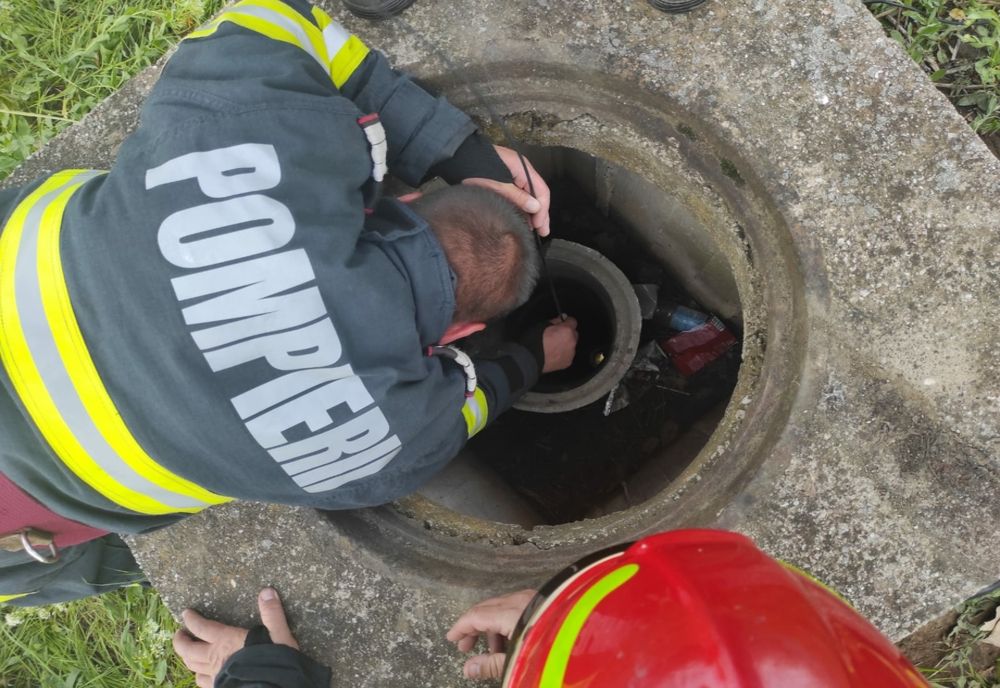 FOTO Ied salvat după ce a căzut într-o fântână. Pompierii l-au resuscitat
