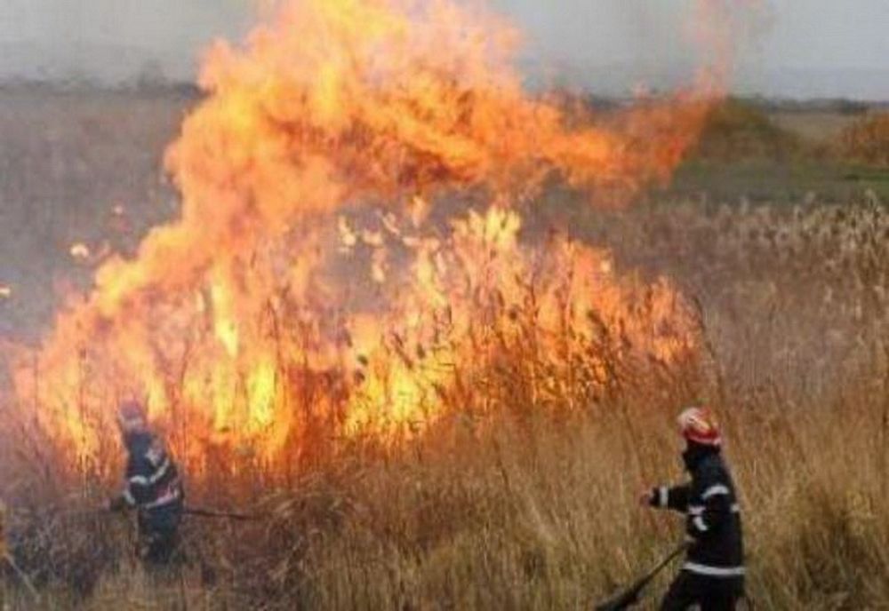 Incendiu de vegetație uscată la Movilița