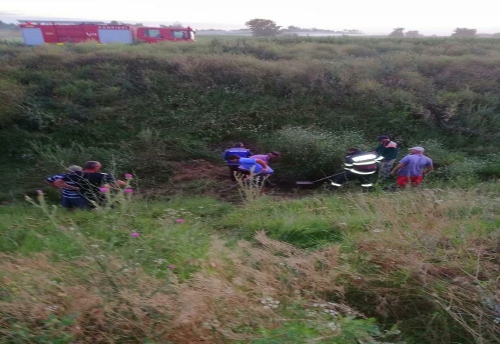 Incendiu violent de vegetație uscată la Țăndărei