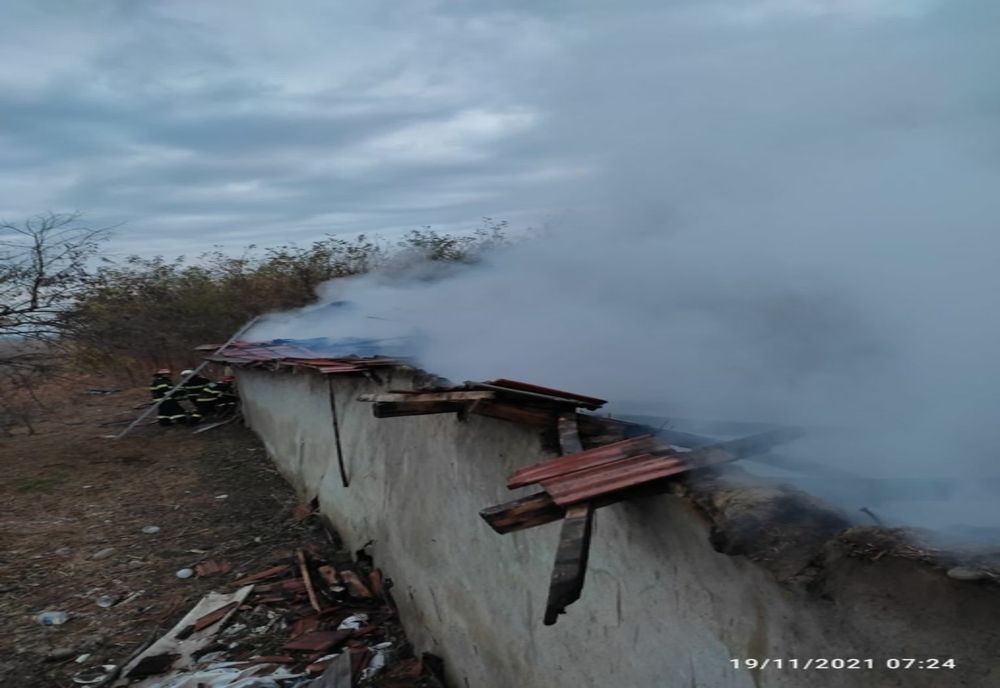 FOTO Incendiu violent izbucnit la un adăpost de animale 