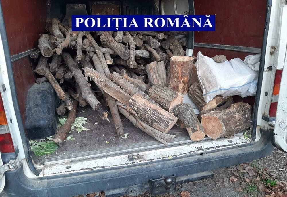 Prins și amendat pentru lemnul nejustificat
