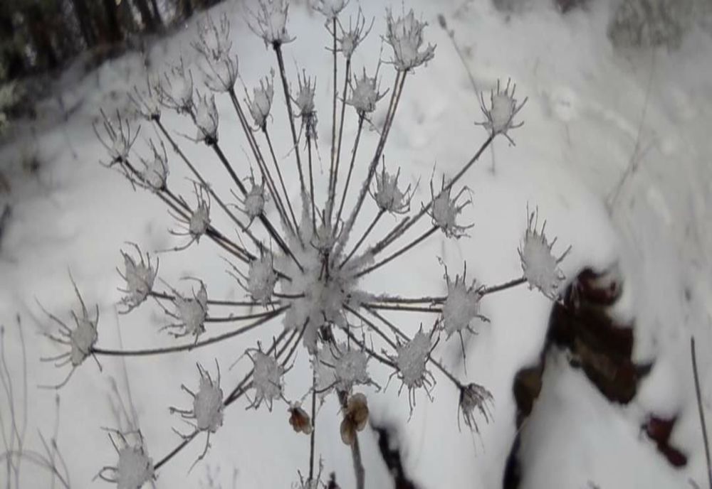 Vremea 20 februarie: Temperaturile scad accelerat - Ce zonă a țării e vizată