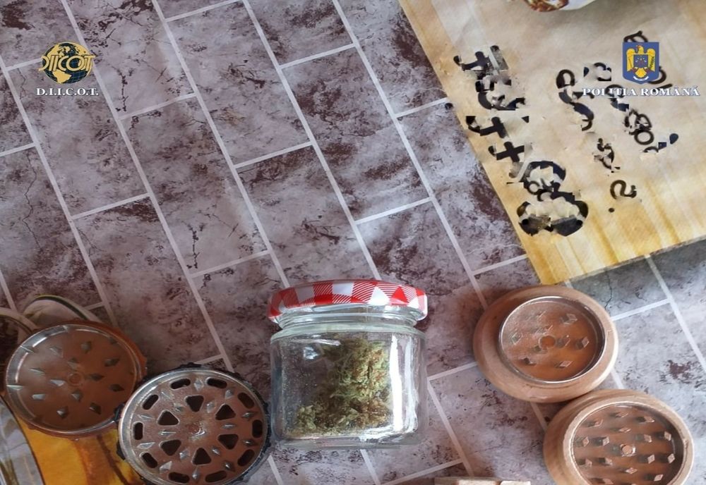 Cercetați pentru săvârșirea infracțiunilor de introducere în ţară de droguri de risc