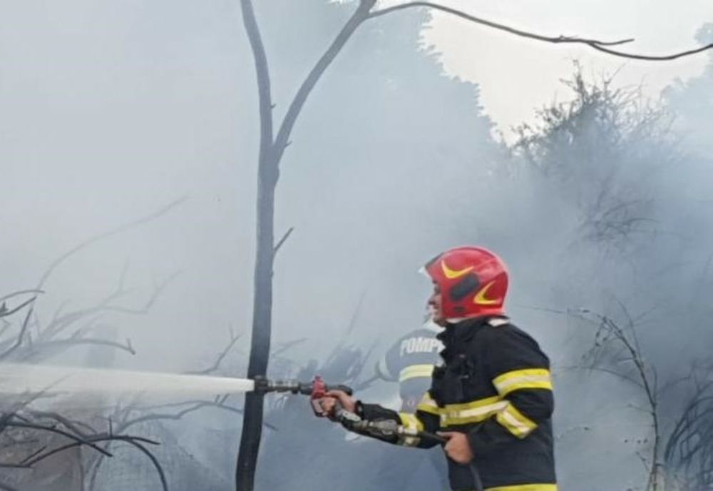 Incendiu violent la Bărbulești. Focul a fost pus intenționat