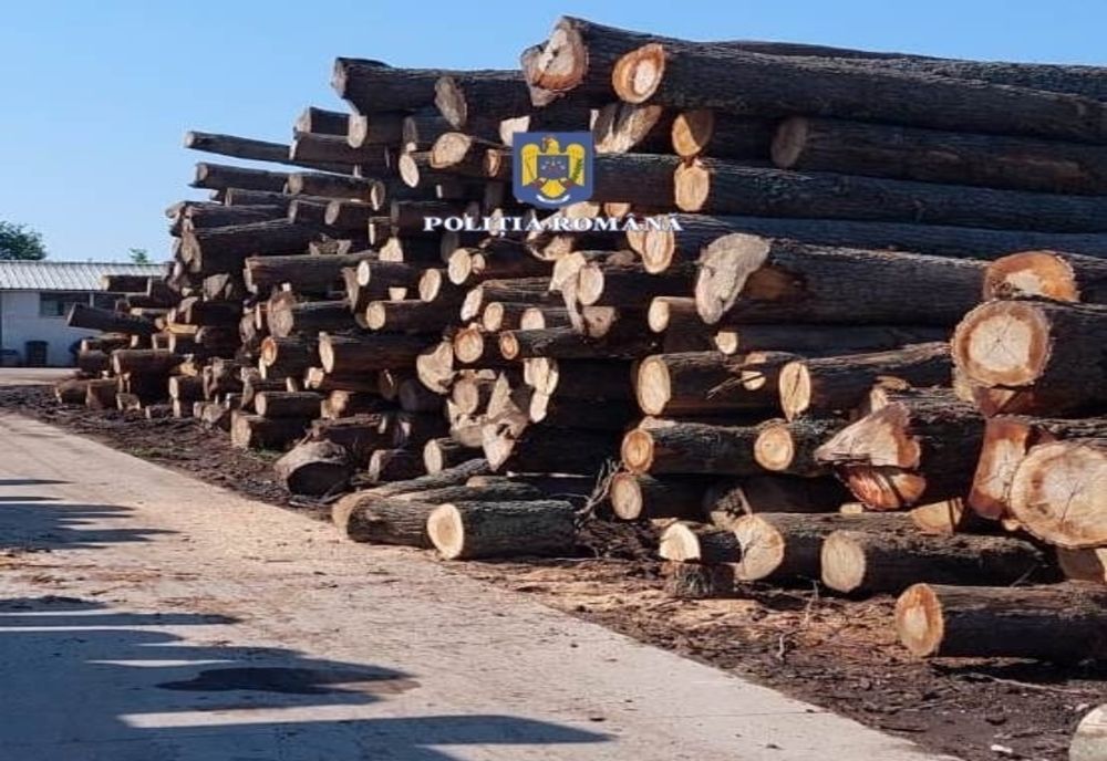 Sprijin pentru lemne la iarnă - Subvenţie de 150 de lei pentru fiecare metru cub! Planul Guvernului