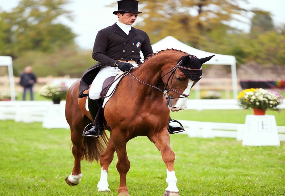 FOTO Karpatia Horse Show 2022, un regal al eleganței pe Domeniul Cantacuzino. Programul evenimentelor