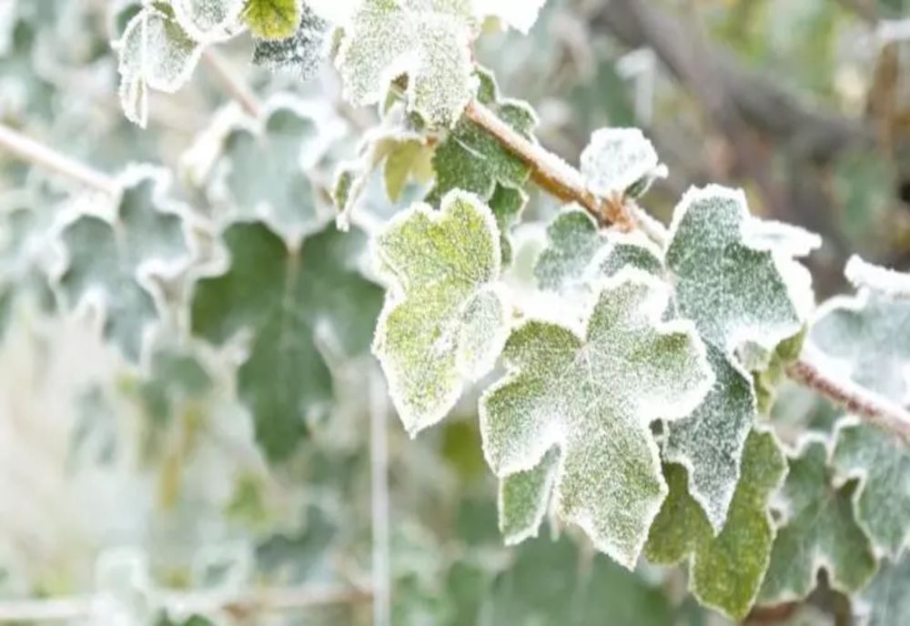 Frig, ploi și chiar ninsoare peste România. Anunțul meteorologului ANM: "Un val de aer polar peste țara noastră" - Când scăpăm de episodul rece