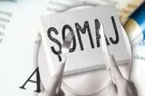 Șomajul, în creștere! Aproape o treime dintre tineri nu au un loc de muncă: cum arată noile date INS