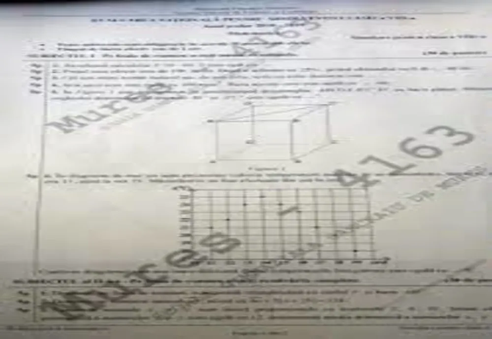 Simularea Evaluării Naționale și simularea Bacalaureatului 2020 începe în 23 martie