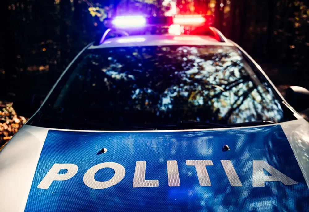 Pericol în trafic! Cu permisul suspendat, la volanul autoutilitarei pe DN2A