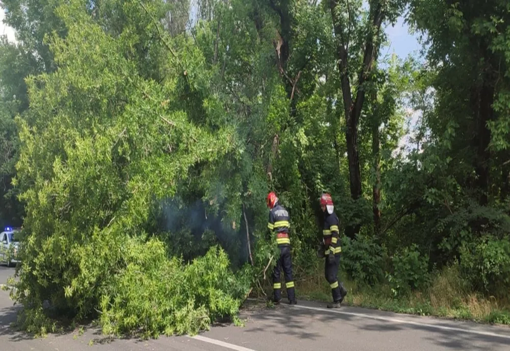 Misiunile pompierilor ialomițeni în weekend