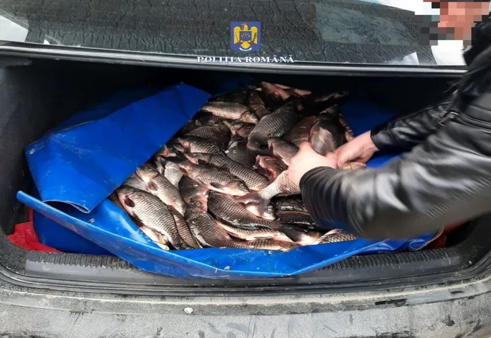 Prins cu portbagajul "burdușit" cu pește