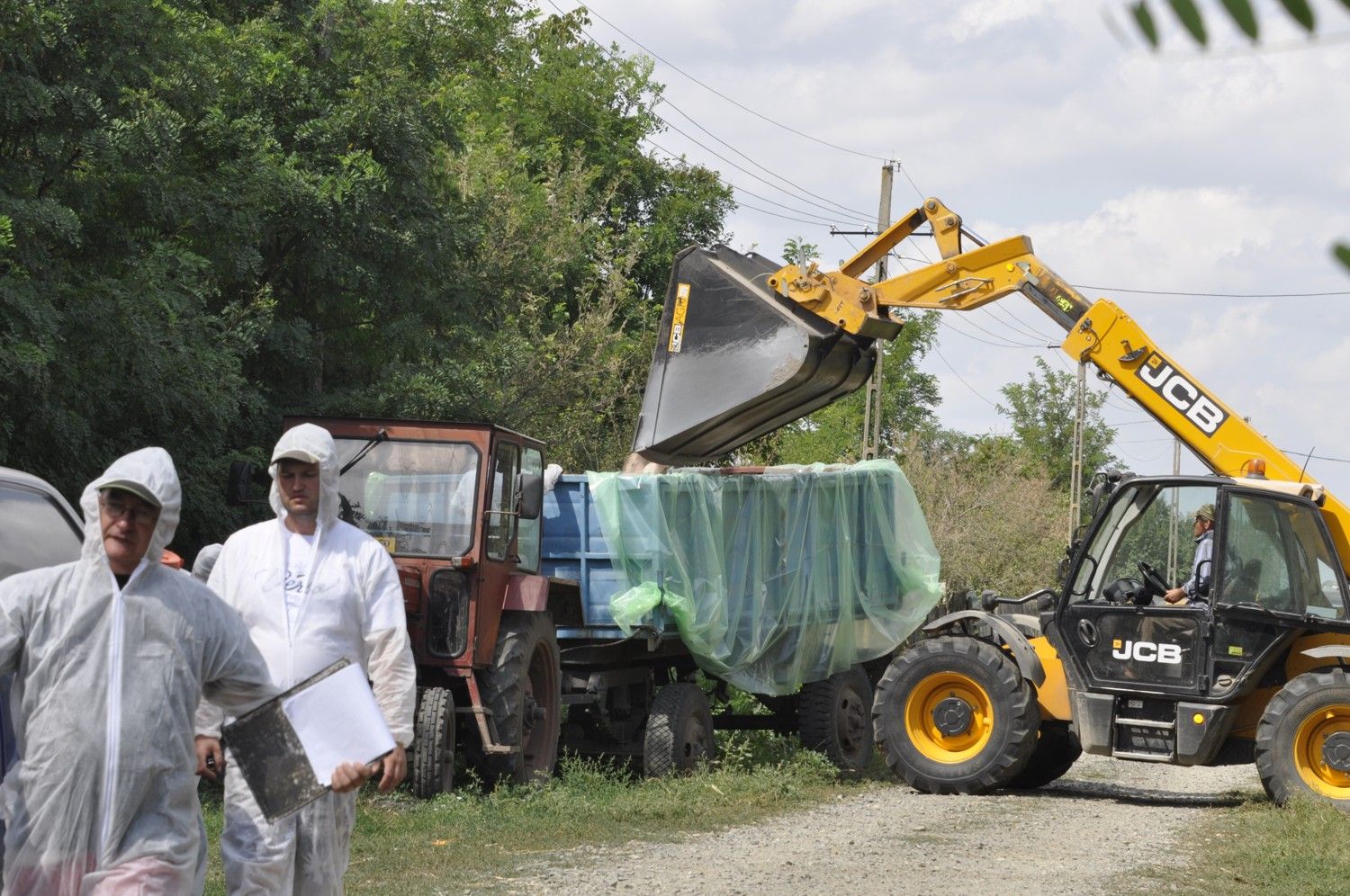 despagubiri-pesta-porcina-africana-ialomita