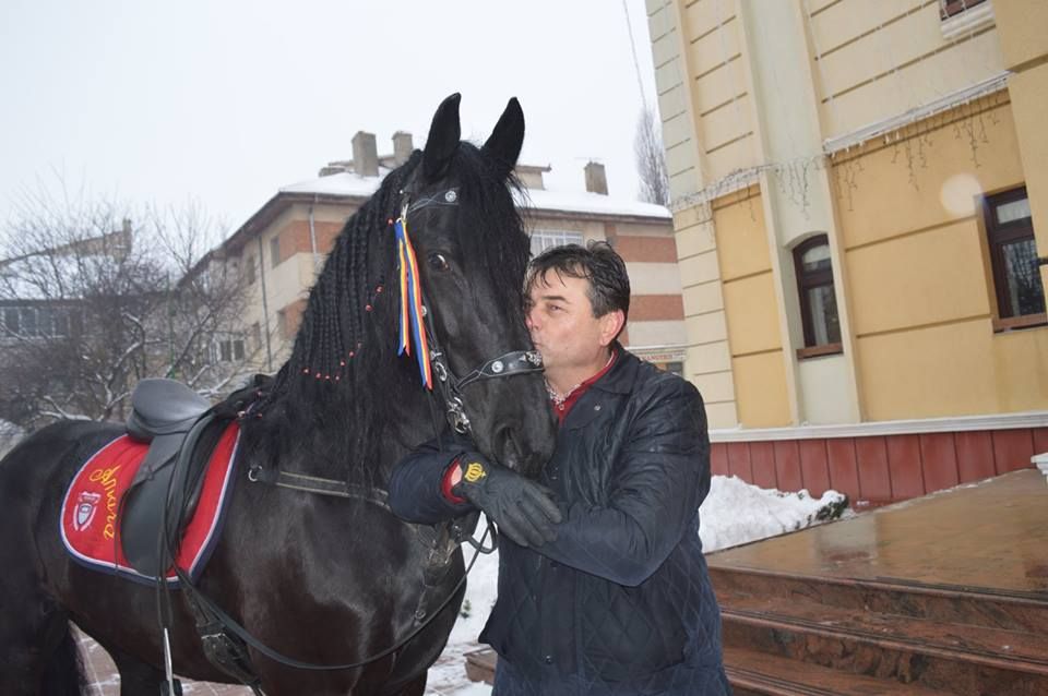 preludiu cu iapa fără amabilități gratuite