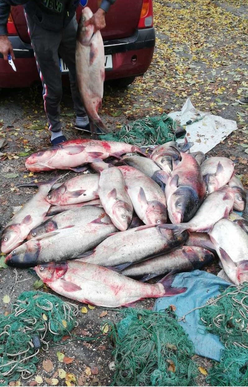 peste-fitofag-confiscat-politie