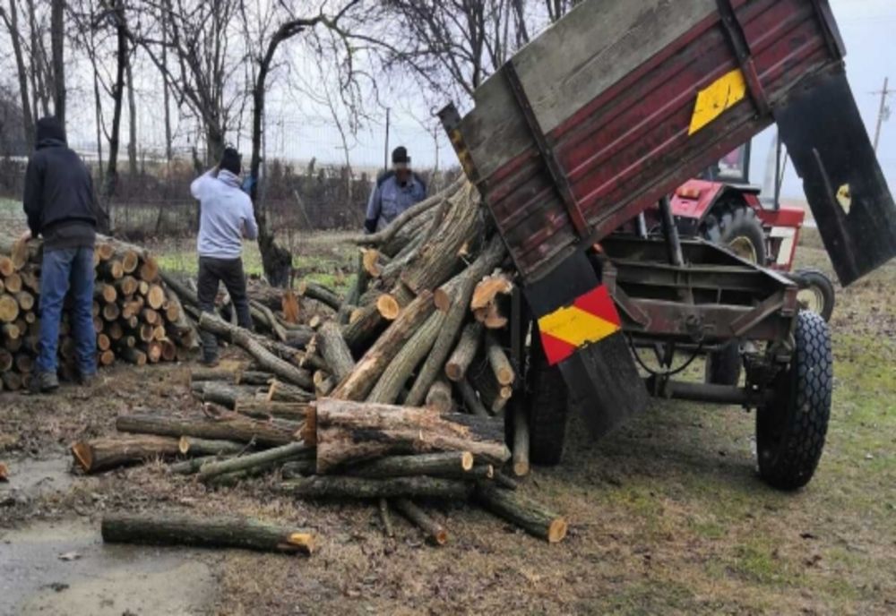 Polițiștii ialomițeni au prins în flagrant un bărbat în timp ce transporta material lemnos cu un tractor neînmatriculat și fără a deține permis de conducere
