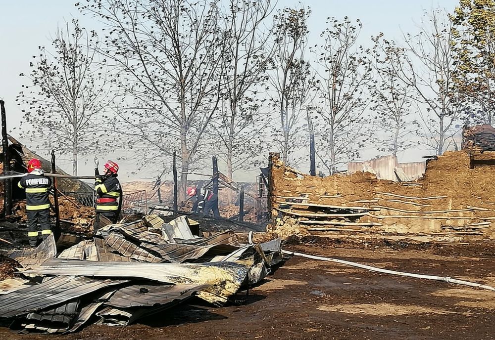 FOTO| Incendiu la Progresu stins după două ore