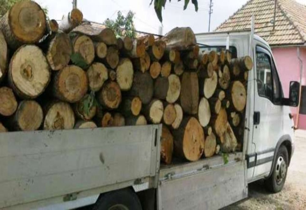 Hoț de lemne prins în flagrant. Amendă drastică