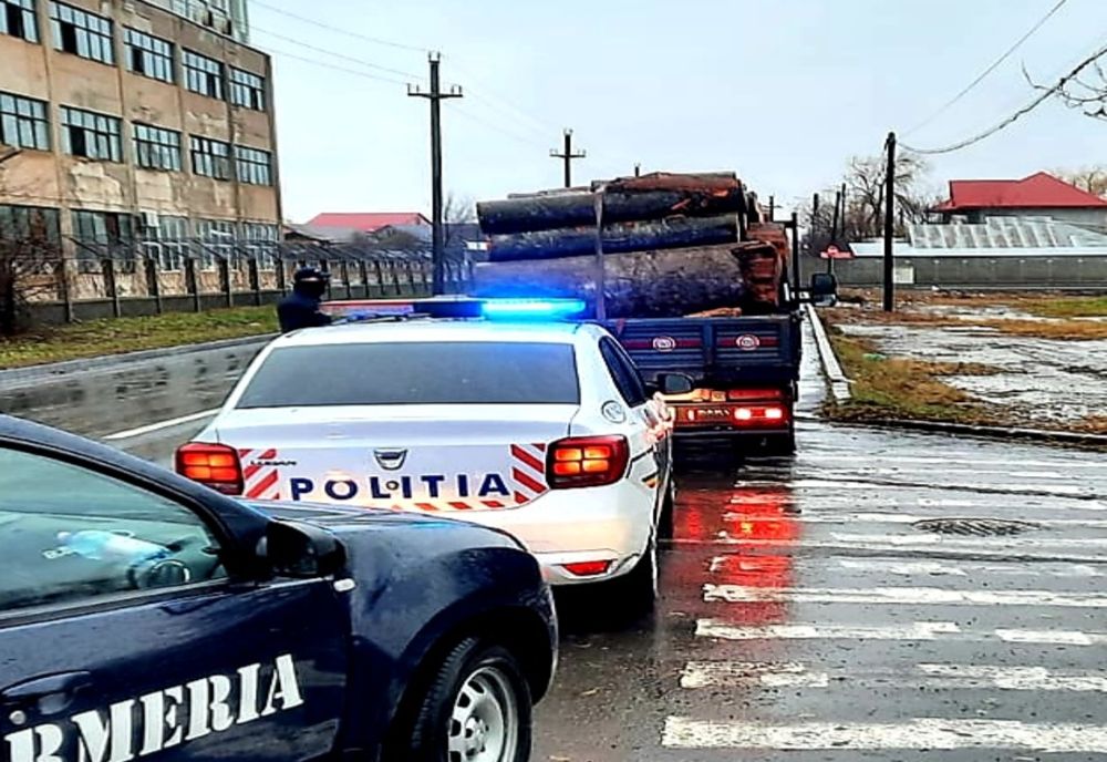RAZII ale polițiștilor ialomițeni pentru prevenirea și combaterea delictelor silvice